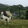 6月も終わりました