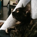 misaのスピグロライフ