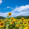 【幼稚園　転園】入園後に心がけること３つ