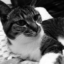 music-cat-lifeのブログ
