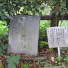 万葉歌碑を訪ねて（その１７９０）―愛媛県西予市　三滝公園万葉の道（１）―万葉集巻五　八〇二、八〇三