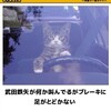 自動車学校で、いつも質問される事 σ(^◇^;)