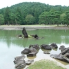 毛越寺・遣水・常行堂・洲浜