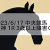 2023/6/17 中央競馬 阪神 1R 3歳以上障害ОP
