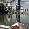 東京の雪景色『和田倉橋とパレスホテル東京遠景』