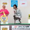 北海道インター