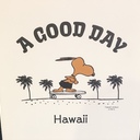 毎日パソコンをカチカチしているOLさんの肩もカチカチでしょう。そのダル重で仕事の邪魔をする肩こりにさようなら！生活習慣を見直し、隙間時間を使って、集中力や効率、モチベーションをUP！！肩がカチカチな朝もスッキリ爽快へ！