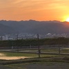 畑の中心で〇〇を叫ぶ