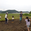 6月18日　田植え