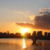 #292　冬の架け橋！