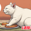 【40代女性向け】無理しないダイエット1週間ミニ計画｜運動嫌いでもOK (15週目)