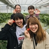 完熟いちご🍓狩り情報3月27日(水)開園日です‼️💕✨💫🍀