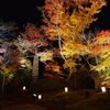 松島　円通院の紅葉ライトアップ　～　三池光竹