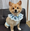 ★ルイくん★