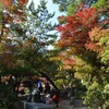 安芸の宮島紅葉狩り2017　インスタ映えスポットを巡ってみた②　紅葉谷公園