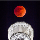 たつやの株主優待＆配当金・分配金で まったりライフ！