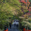 京都の紅葉2017～隠れ名所・今熊野観音寺