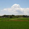 「桑田・里山の会」6月定例会