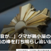 【クマ被害速報！……5／21－22　釣り客死亡――クマ出没情報行政と共有無し、北海道・朱鞠内湖】＃508