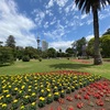 35.Albert park