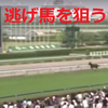 明日の逃げ馬　中京１１レース　納屋橋ステークス