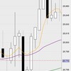 1月16日の収支：＋５８２６０円　円高進行、今晩は米国市場が休みのため　明日は戻してほしい　水曜が怖いからね