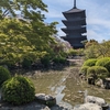 京都で花見（東寺・智積院）