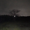 20210705　tree/スロウコア
