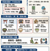 茶道入門：歴史から流派の違い・お茶会の楽しみ方まで