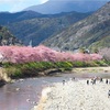 4/6〜4/12