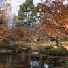 荻窪の大田黒公園を散歩した