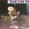 続々・昆虫食と諸々。