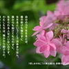 こころの道しるべ（270）助けあって生きる