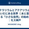 苔テラリウムとアクアリウムのあいだにある世界（ 水と苔でつくる「小さな自然」の始め方）｜モス神戸