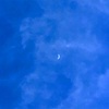 太陽と