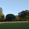 日暮れの公園