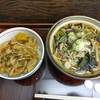 そば処 はるな（文京区本郷）の山菜そばとミニかき揚げ丼