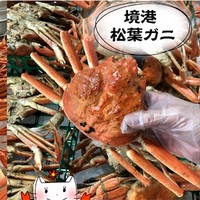 鳥取 境港】スーパーの激安訳あり蟹☆水槽の活松葉ガニ&ボイル紅 鳥取 境港】スーパーの激安訳あり蟹☆水槽の活松葉ガニ&ボイル紅