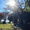 『山手線が運休した日曜に』