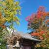 山口盆地の紅葉（龍福寺）