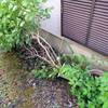 2026年6月3日　台風被害かな