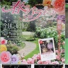 花フェスタ記念公園で春のバラまつり　岐阜県可児市　その１
