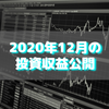【目指せ不労所得】2020年12月の投資収益公開