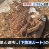 アサリ産地偽装「下関港ルート」解明へ