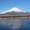 #238 2年ぶりの登山はリハビリ登山も絶景に胸キュン