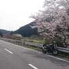 プチソロツーの桜と、計算外と、早く来ないかな…。