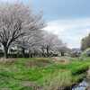 強風が吹き荒れる