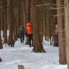 和宏さんの花巡礼2017「寒峰」　温かさ