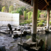 七戸町　ほっとプラザ杉の子温泉に日帰り入浴・サウナを楽しみました♨