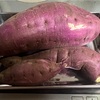 試し掘り････ベニカはるか？